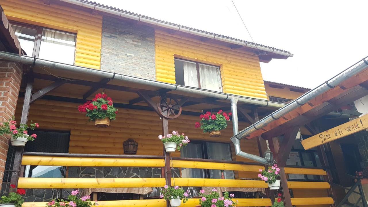 Pensiunea Mia Statjunea Borsa Exterior photo